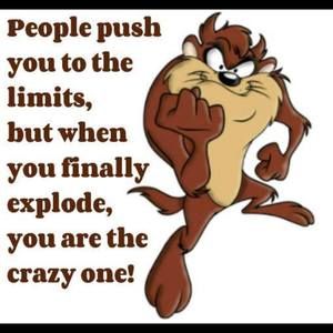 Meet your Posher, Luna